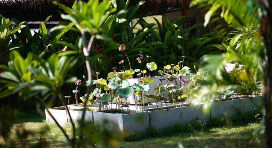 Lotusland Resort