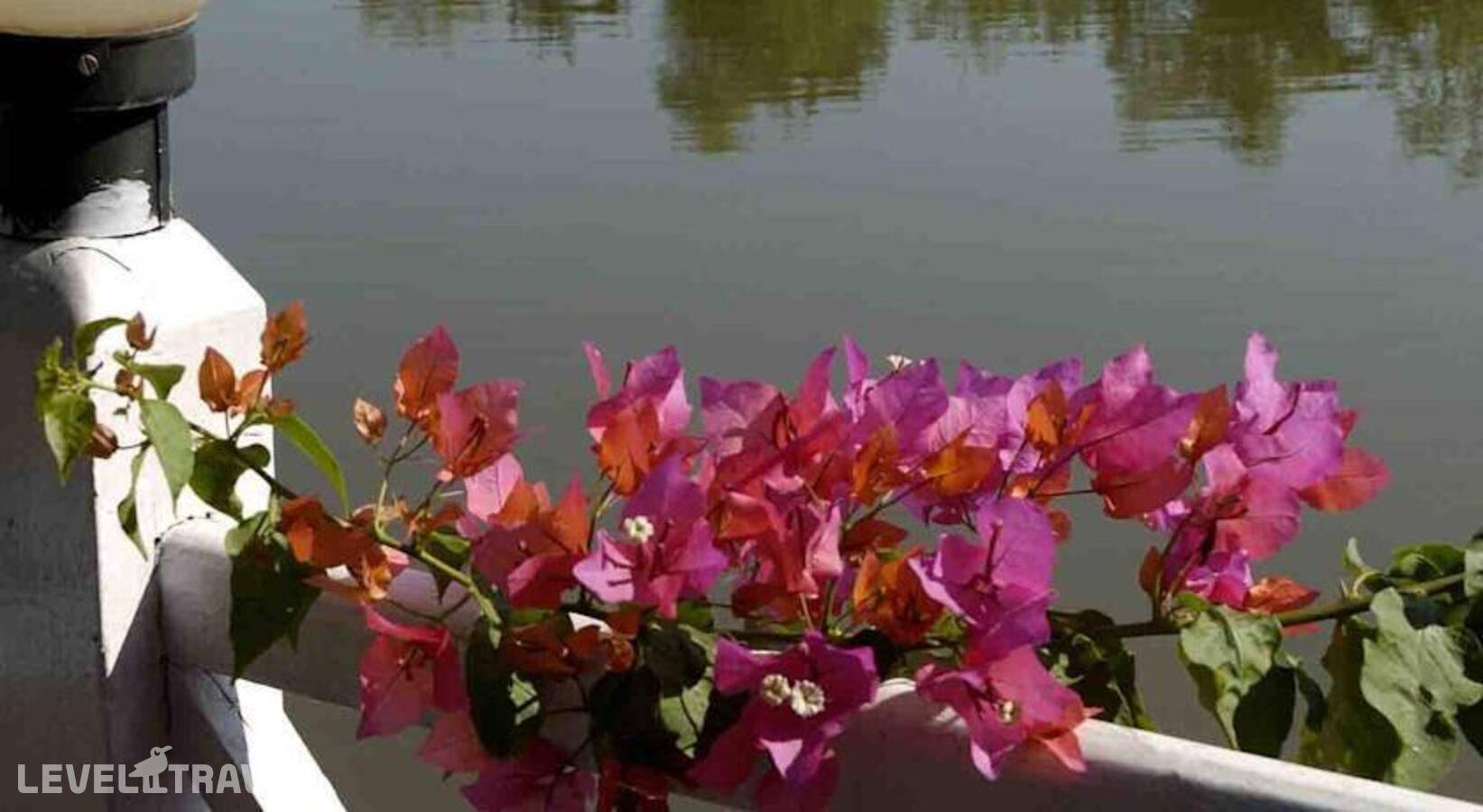 фотографии отеля Casa Britona в Индия(Панаджи) - фото №5