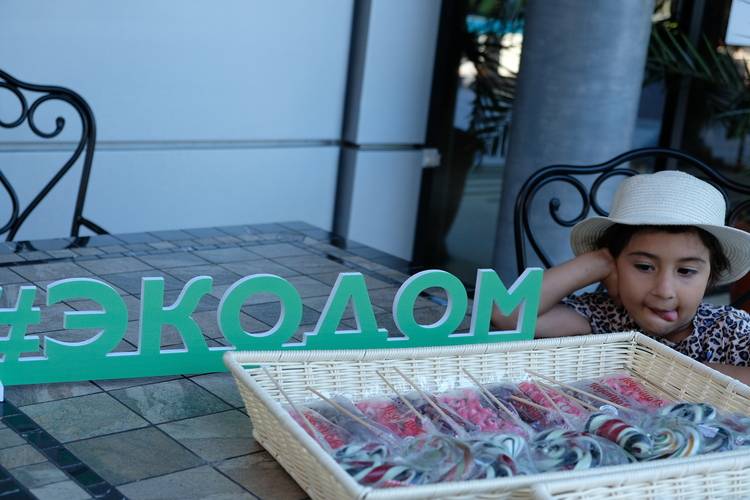 Экодом Адлер