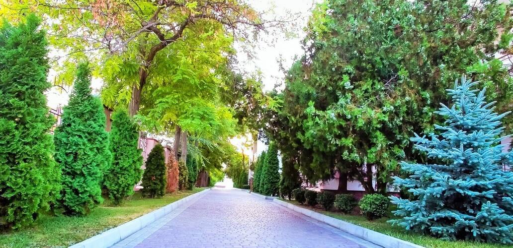 Пансионат Царь Евпатор