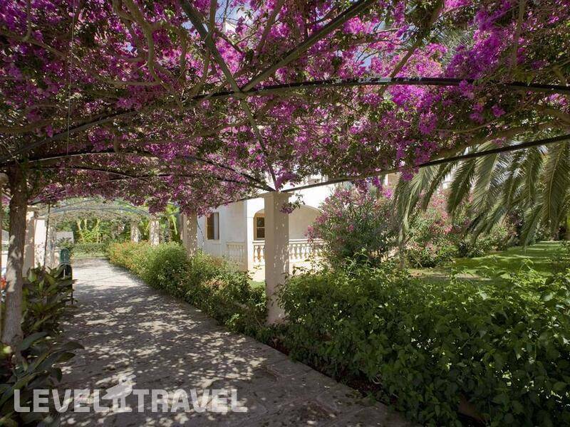 Фотография Aparthotel Ferrer Isabel