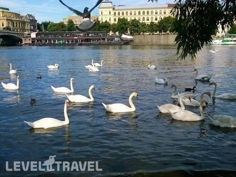 Фотография Abe Hotel