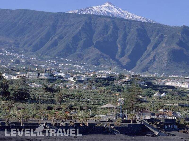 Фотография Aluasoul Orotava Valley (Adults Only 18+) (Ex.Diamante Suites Hotel)