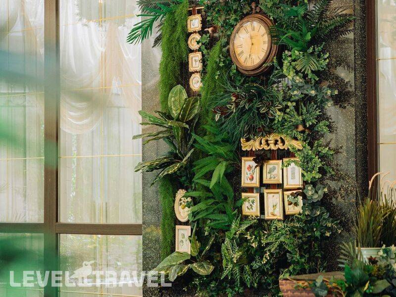 Фотография Green House Detox & Spa