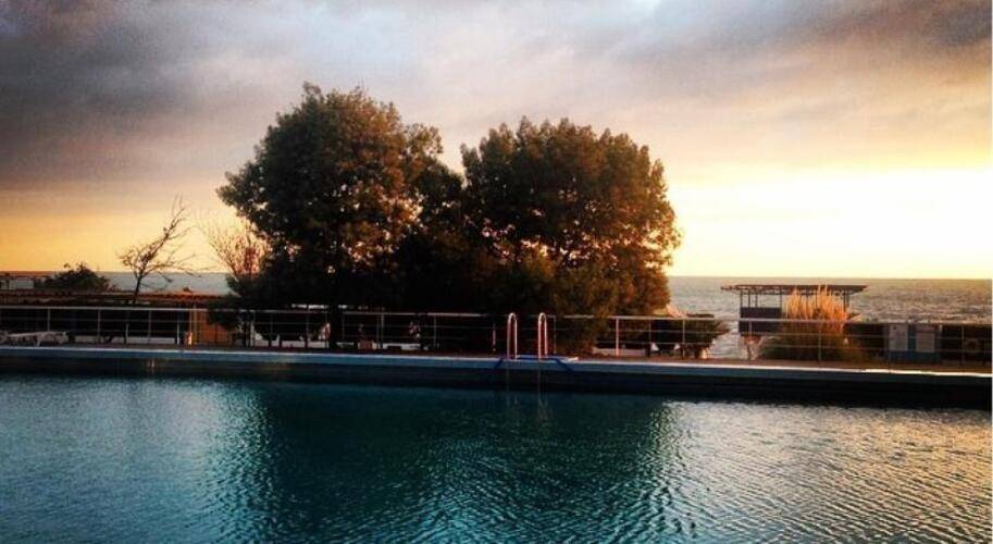 Dolphin Resort