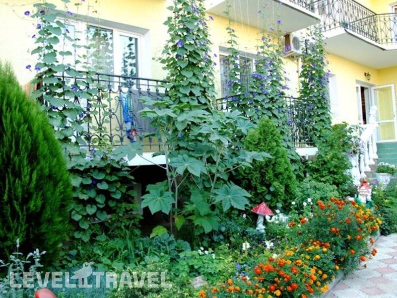 Фотография Отель Сказка