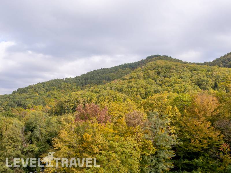 Фотография AZIMUT Парк Отель Прометей Небуг