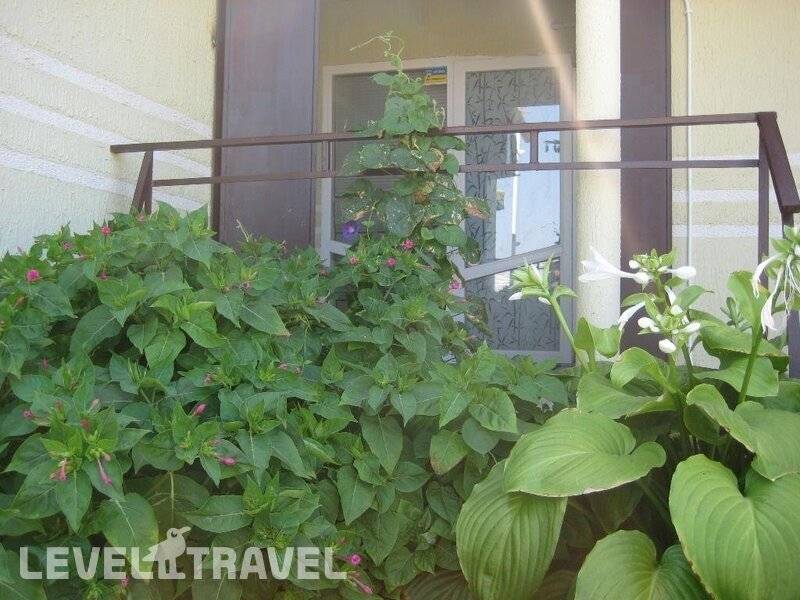 Фотография ГД Бумеранг Фотография ГД Бумеранг