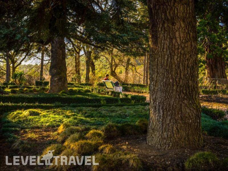 Фотография Green Park Ялта - Интурист (Бывш. Пансионат Донбасс)