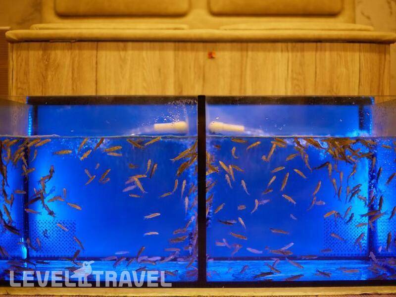 Фотография Grand Hotel Velingrad