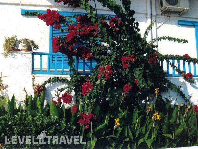Фотография Amaryllis Apartments