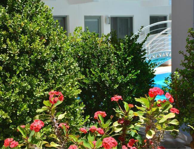 Angela Suites Boutique Hotel