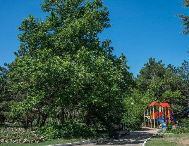 Пансионат Южный