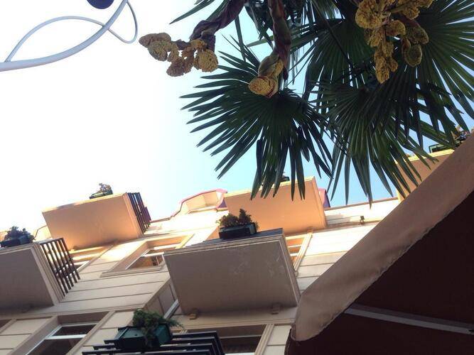 Irise Hotel
