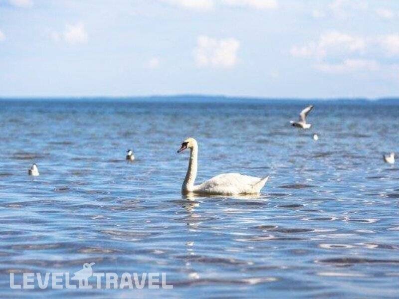 Фотография Санаторий Нарочь