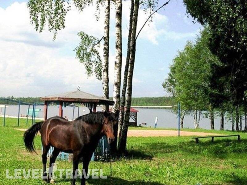 Фотография Санаторий Лесное