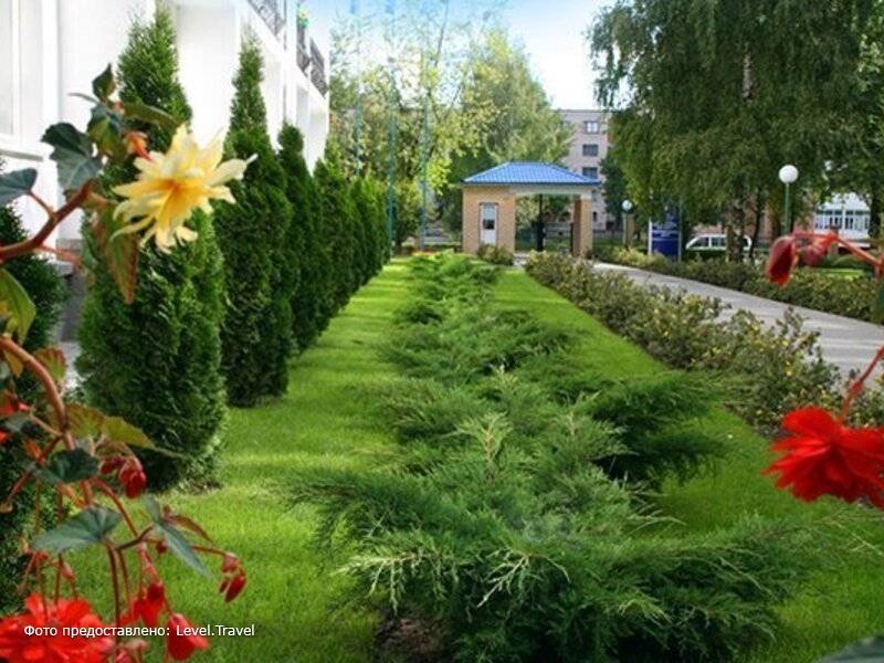 Фотография Оц Энергия