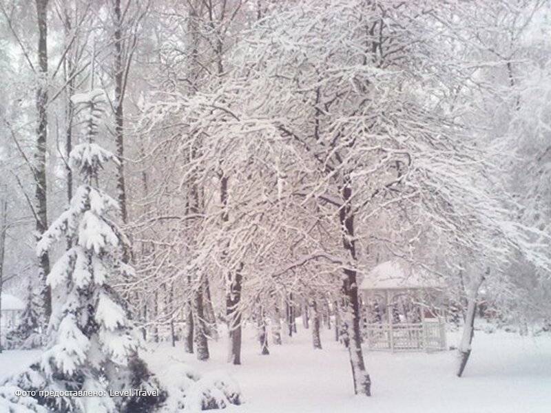 Фотография Оц Энергия