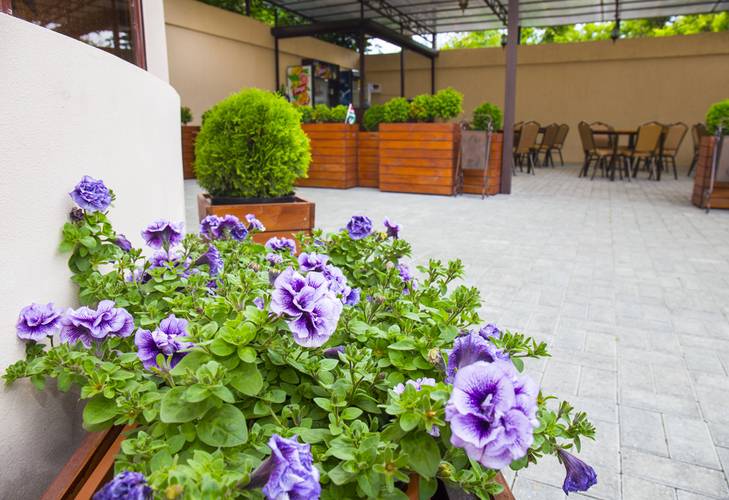 Reprua Guest House