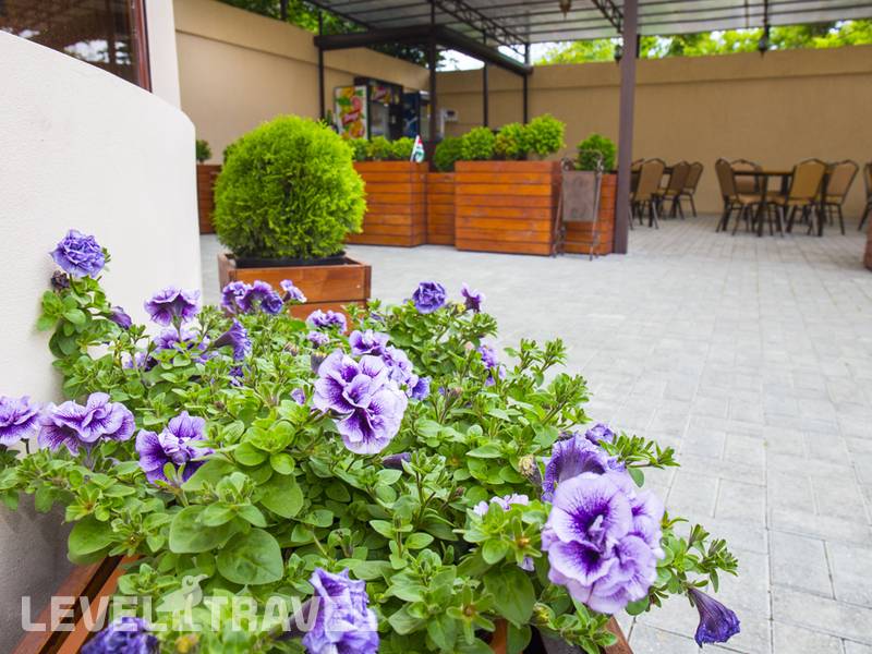 Фотография Reprua Guest House