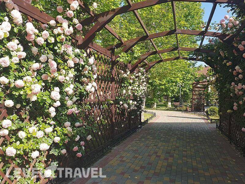 Фотография Пансионат Платан Резорт