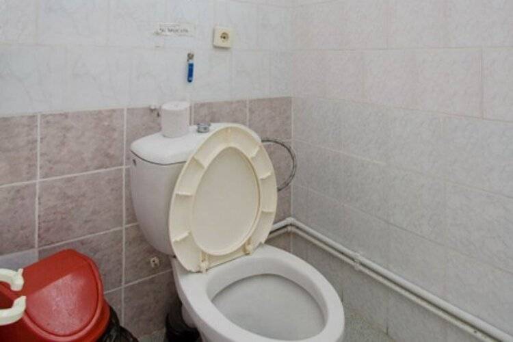 Отель Светлана
