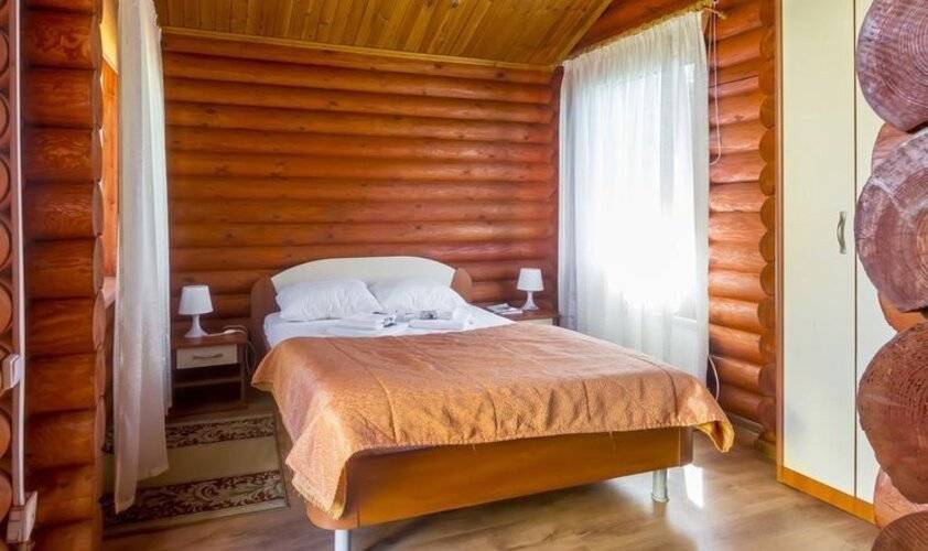 ГД Элиза Заркау