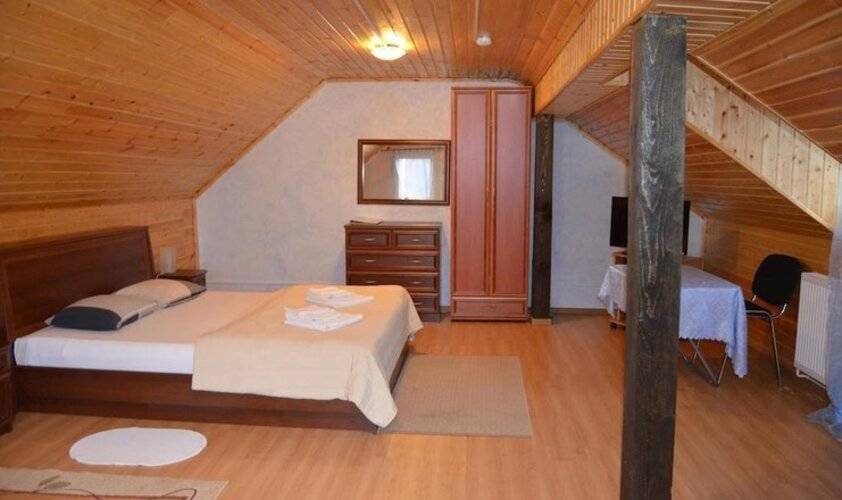 ГД Элиза Заркау
