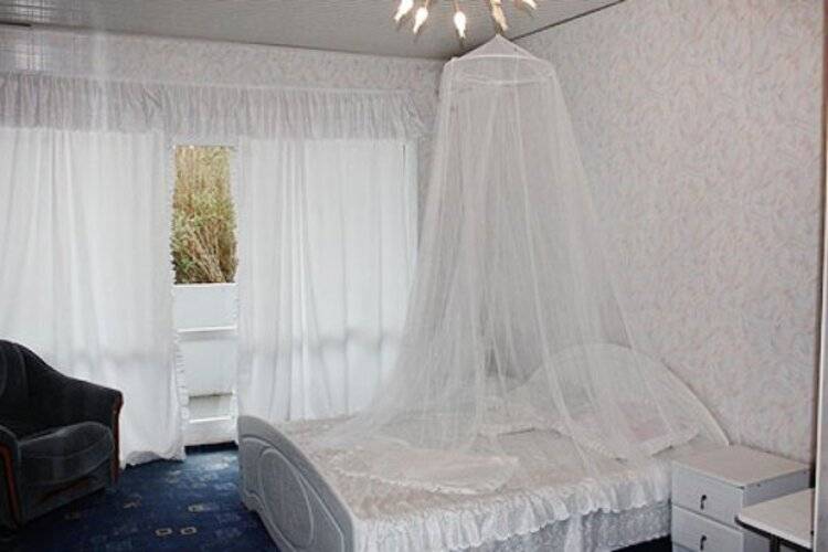 Нараяна (Бывш. Бегущая По Волнам)