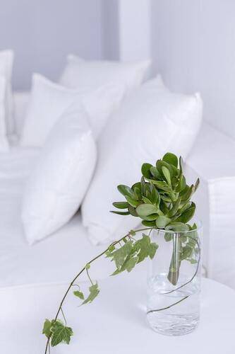 Pietra E Mare Hotel (Adults Only 13+)