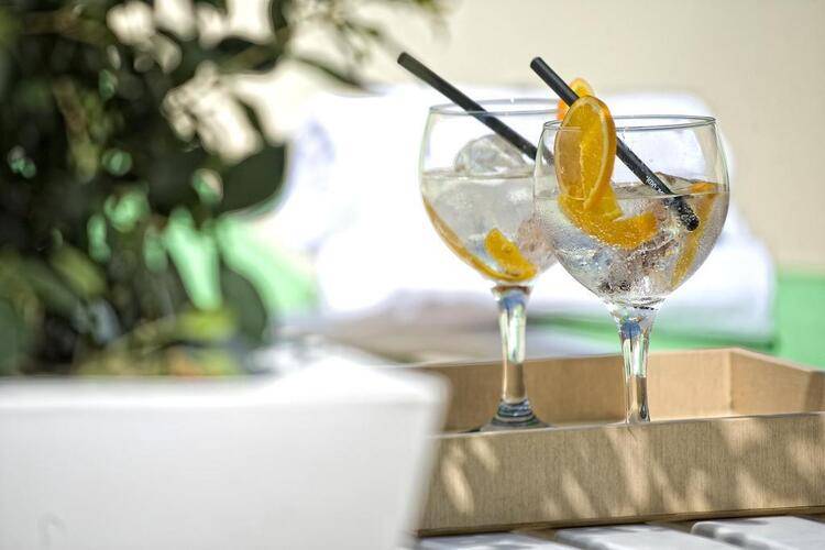 Acacia Premium Suite — фото 27