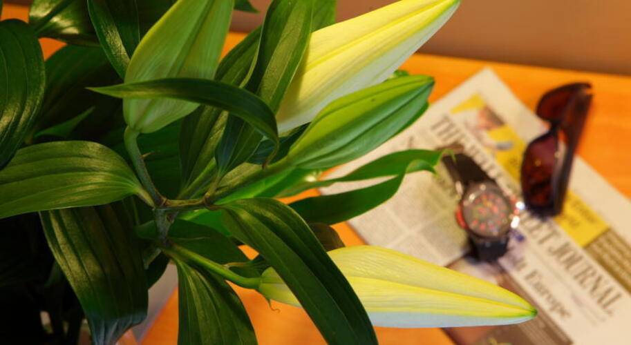 Attica 21 Barcelona Mar — фото 18