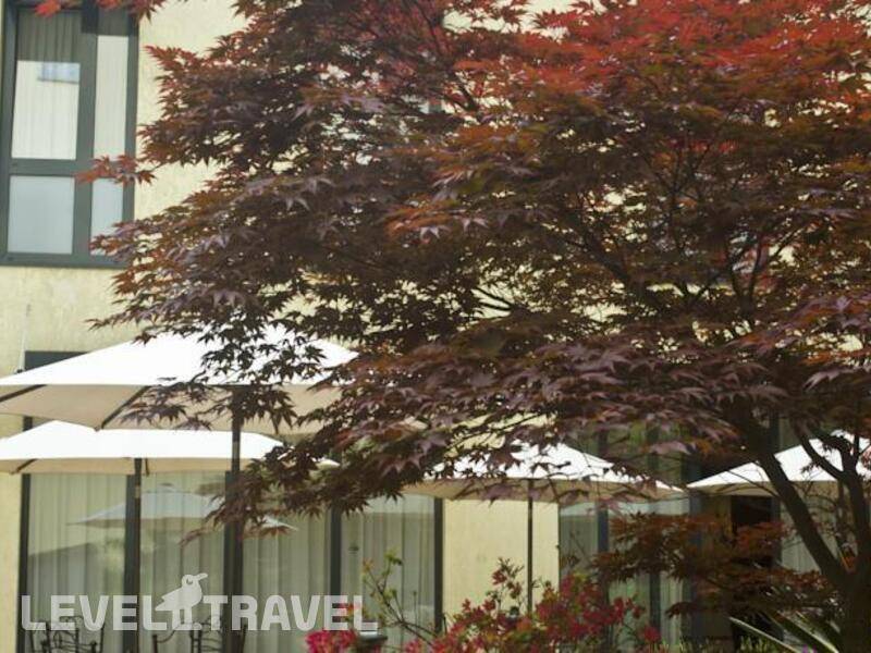 Фотография Roma Hotel