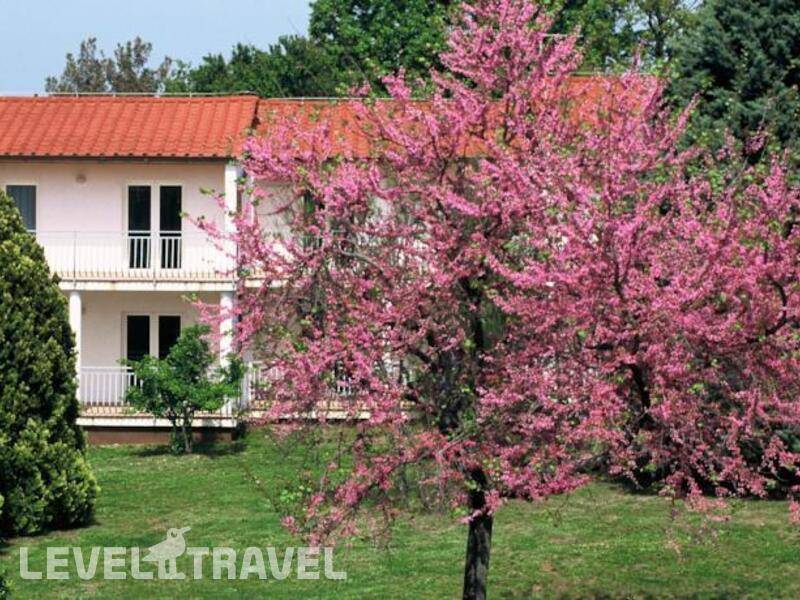 Фотография Ai Pini Resort