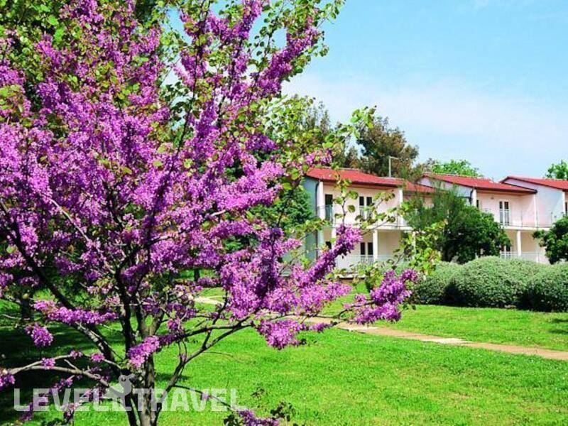 Фотография Ai Pini Resort