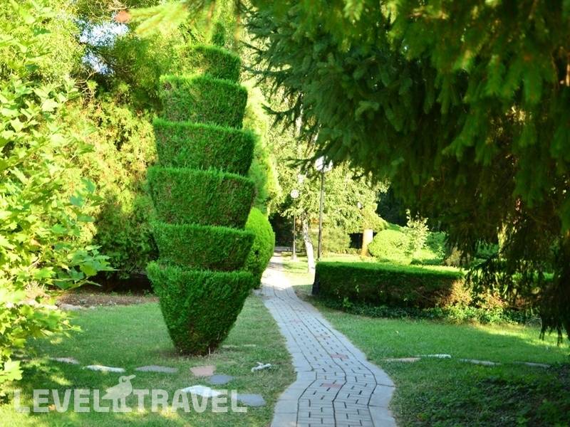 Фотография Пансионат Лучезарный