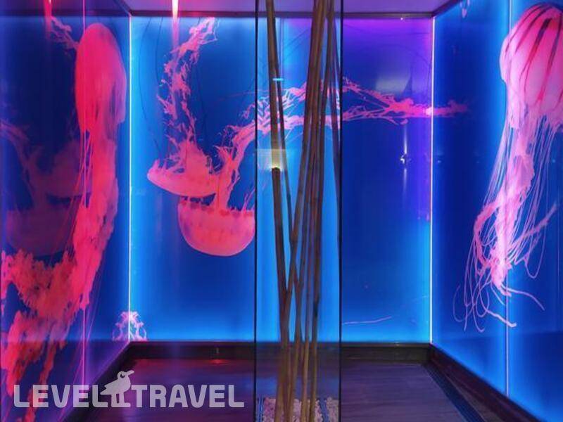 Фотография Sercotel Spa Porta Maris