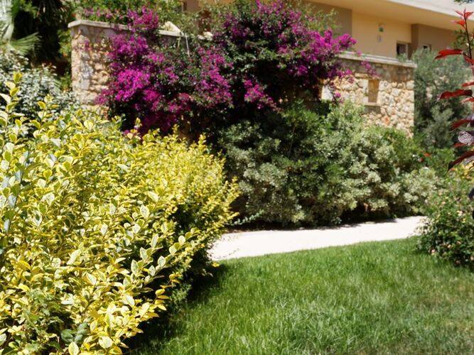 Indigo Mare Hotel Apartments