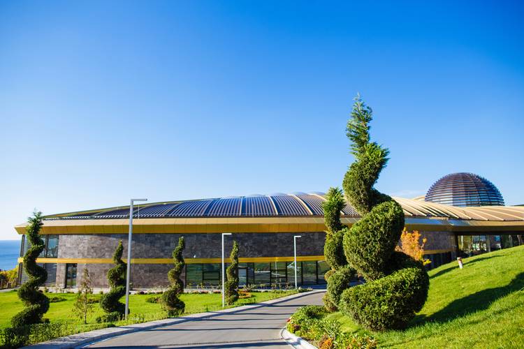 Mriya Resort & Spa (Мрия Резорт & Спа)