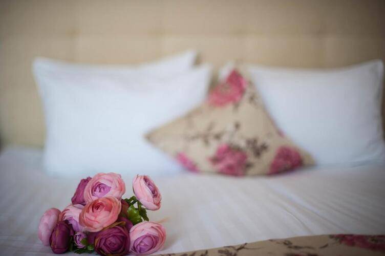 Пансионат Озеро Сновидений