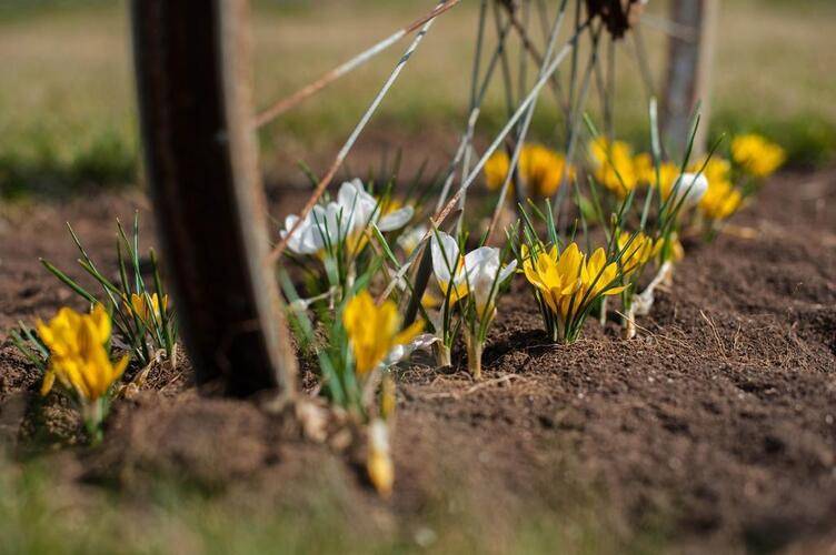 Пансионат Озеро Сновидений