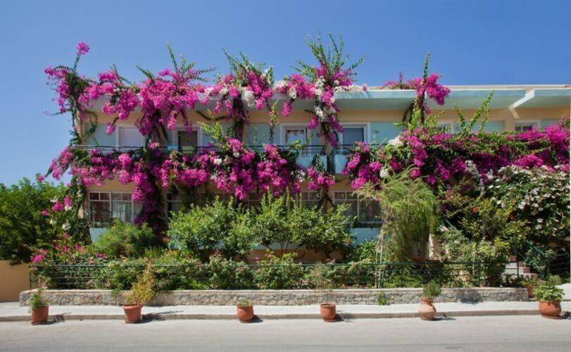 Dedalos Beach Hotel