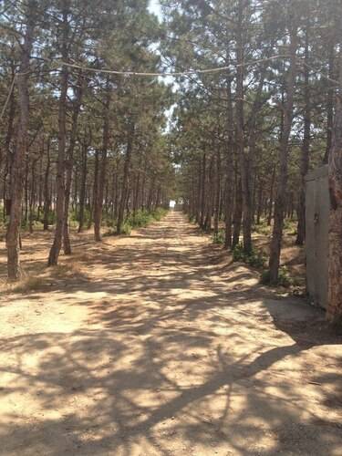 Мини-Гостиница Алексия