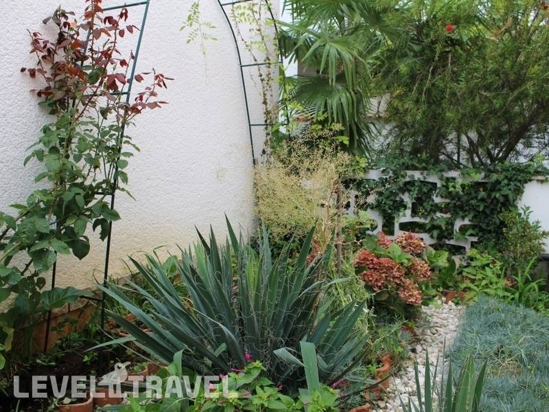 Фотография Apartment Slavica