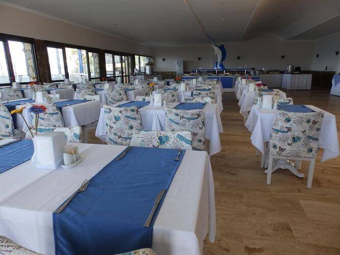 Club Blue White