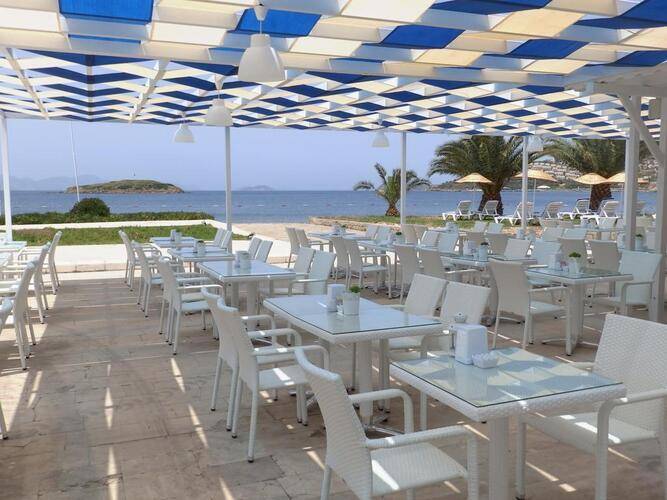 Club Blue White