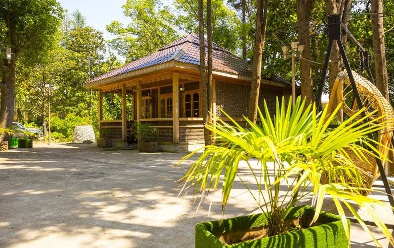 Wellness Park Hotel Gagra