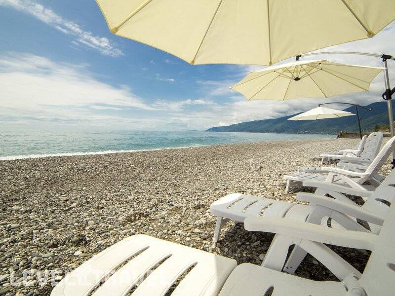 Фотография Wellness Park Hotel Gagra Фотография Wellness Park Hotel Gagra