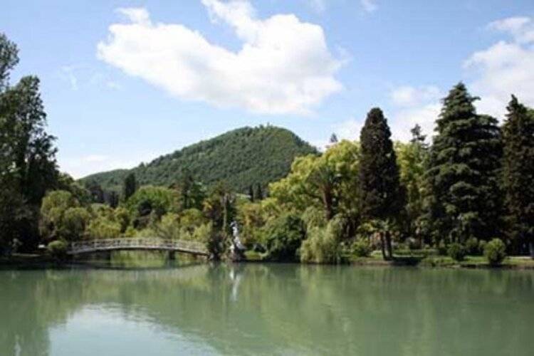 Гостиница Лебедь