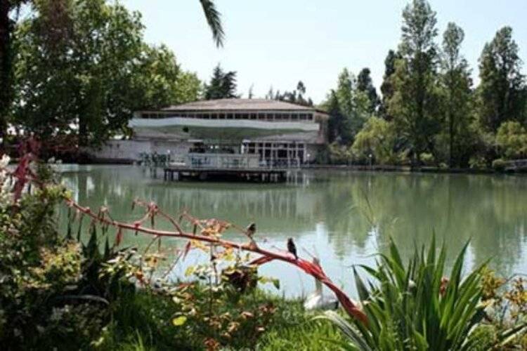 Гостиница Лебедь